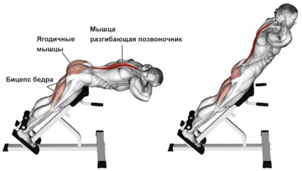 Упражнение гиперэкстензия: 3 техники выполнения