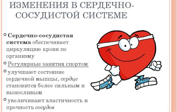 Спорт в жизни человека. Значение, роль физической культуры на организм