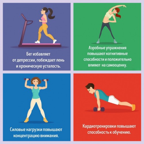 Спорт в жизни человека. Значение, роль физической культуры на организм