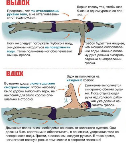 Кроль. Техника плавания кролем. Упражнения на суше, дыхание