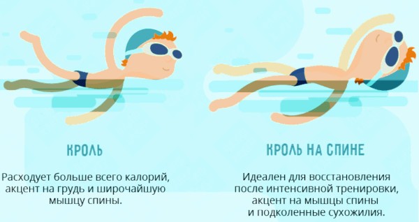 Кроль. Техника плавания кролем. Упражнения на суше, дыхание