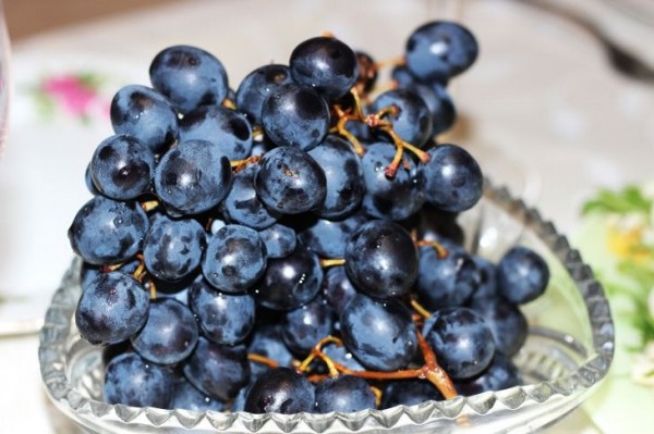 Какие 3 продукта надо есть осенью: рекомендации гастроэнтеролога