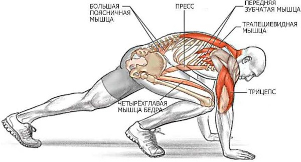 Альпинист упражнение на пресс. Как делать, техника
