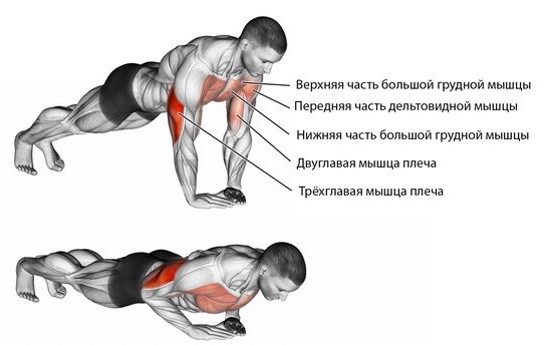 Алмазные отжимания. Какие мышцы работают, что качают