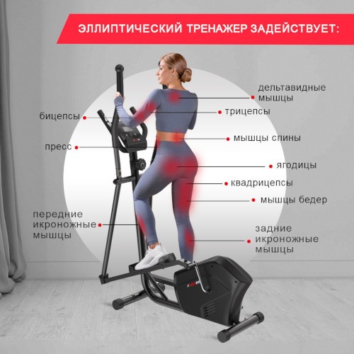 Шраги с гантелями стоя. Какие мышцы работают, техника