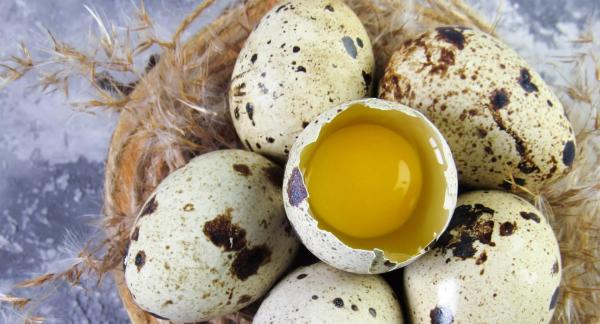 Перепелиные яйца: маленький продукт с большой пользой для рациона