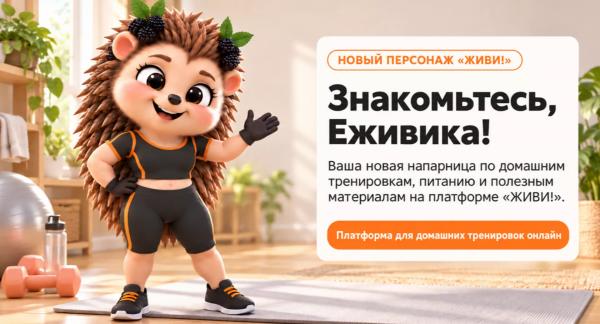 Знакомьтесь, Еживика: ваша верная напарница платформе на Живи!