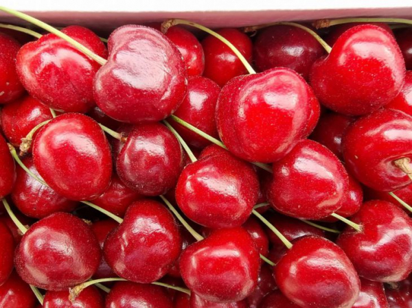 Какие продукты питания помогут снизить уровень сахара в крови: эксперты составили список