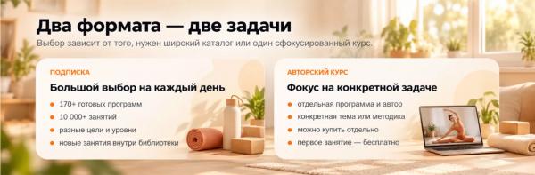 Знакомьтесь, Еживика: ваша верная напарница платформе на Живи!